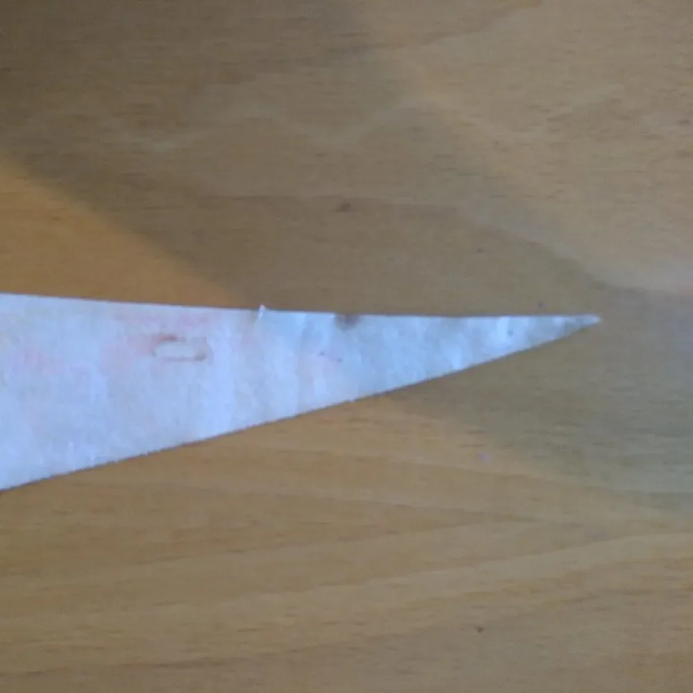 Vintage 60s Georgia Peach State Neon Pennant Flag